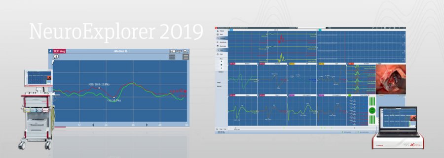 NeuroExplorer 2019